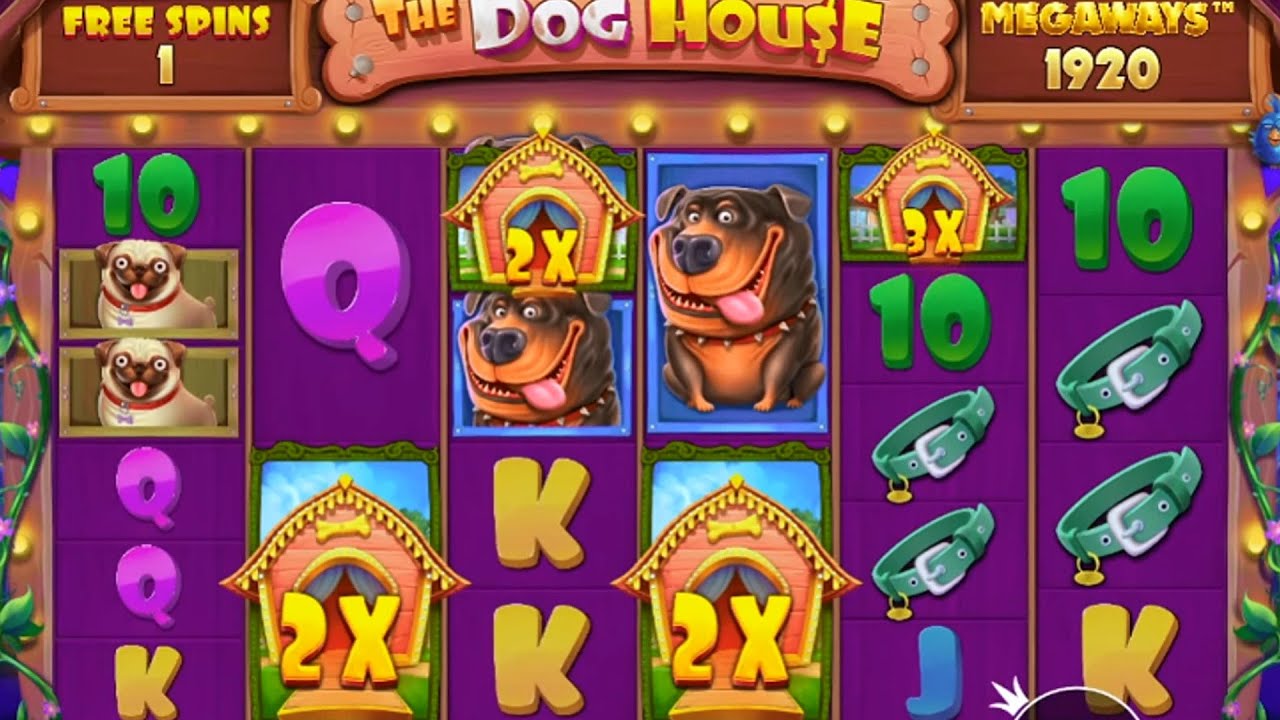 Dog house megaways casino