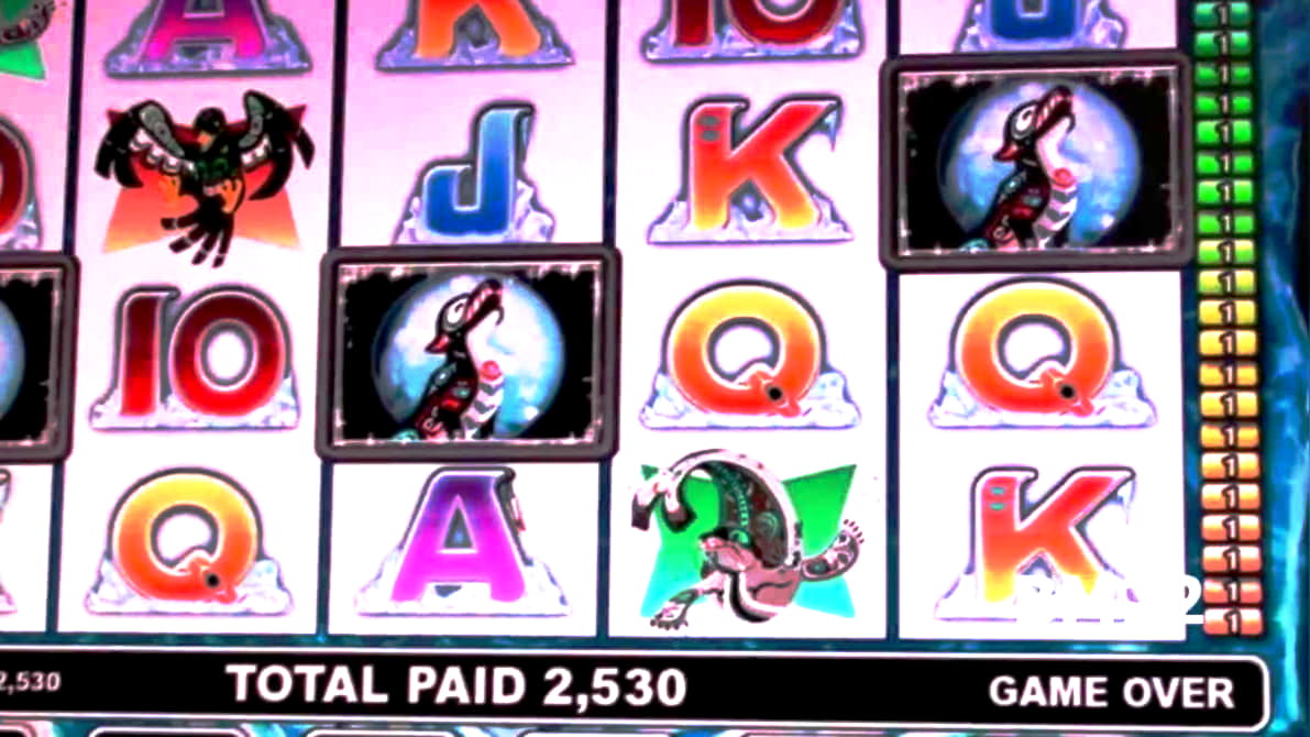 Mega7s casino no deposit bonus codes